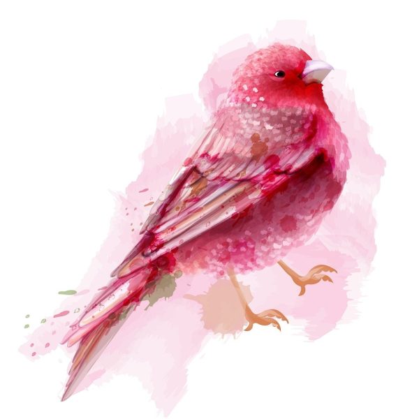 Beautiful Spring Bird Fabric Panel - Pink Online now